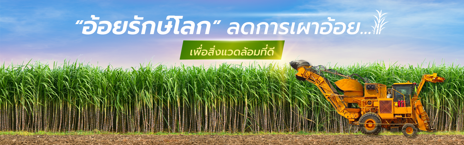Banner B 050268